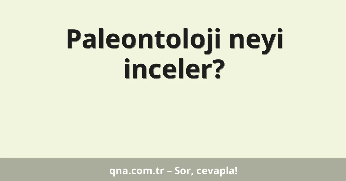 Paleontoloji neyi inceler?