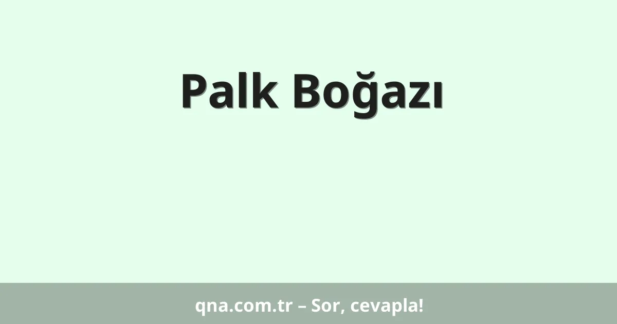 Palk Boğazı
