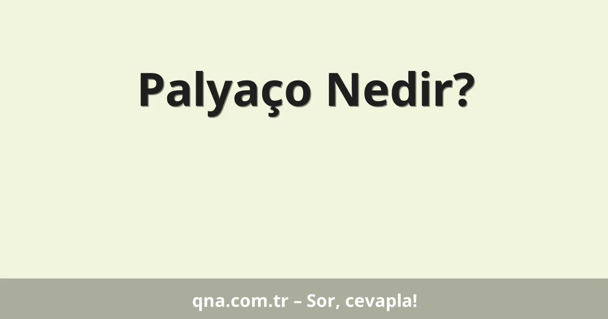 Palyaço Nedir?