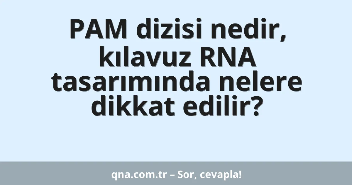 PAM dizisi nedir, kılavuz RNA tasarımında nelere dikkat edilir?