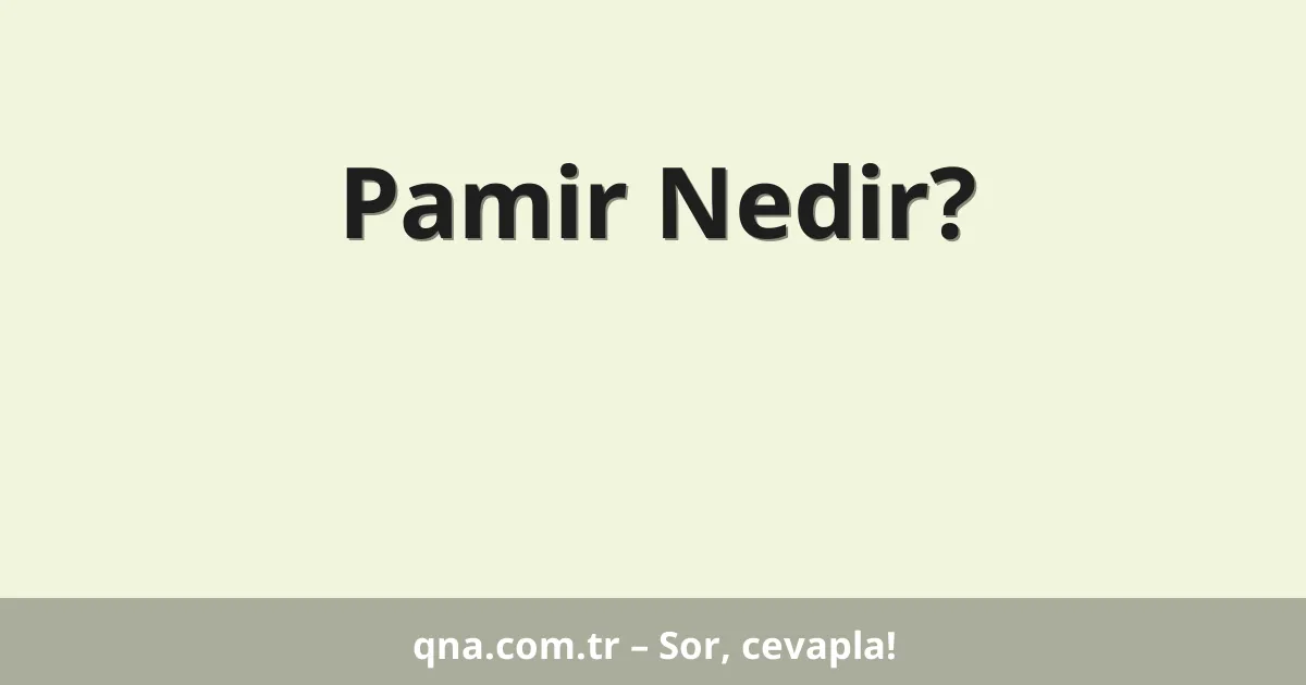 Pamir Nedir?