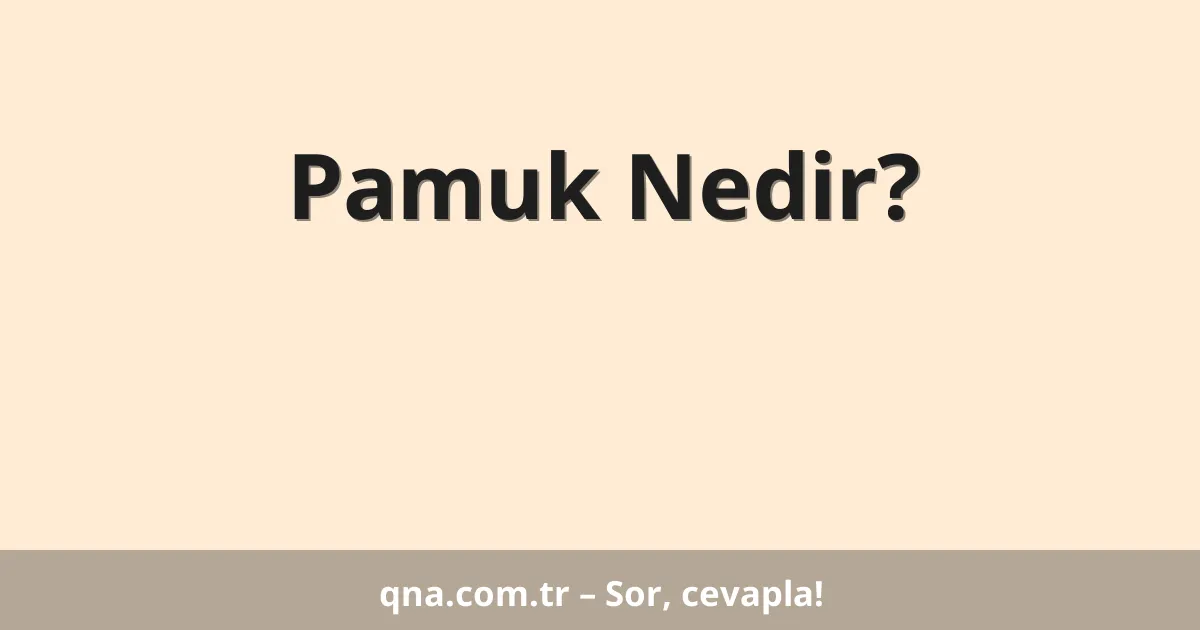 Pamuk Nedir?