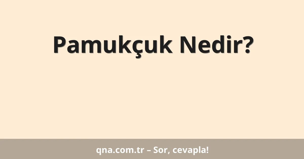 Pamukçuk Nedir?