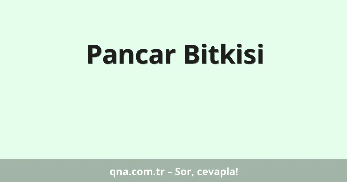 Pancar Bitkisi