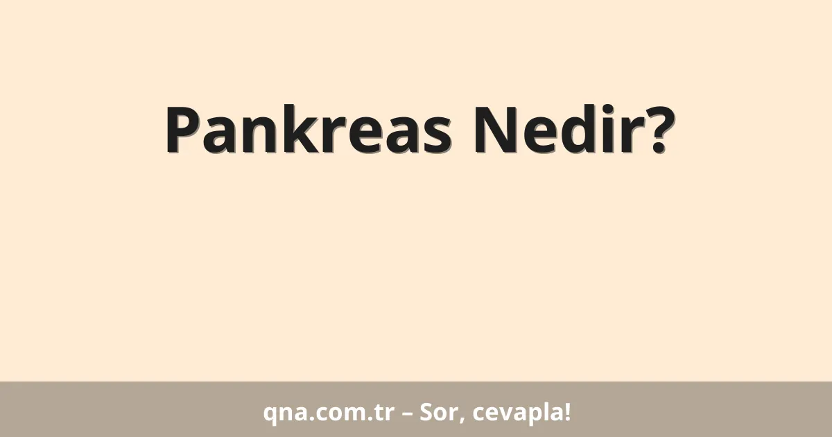 Pankreas Nedir?