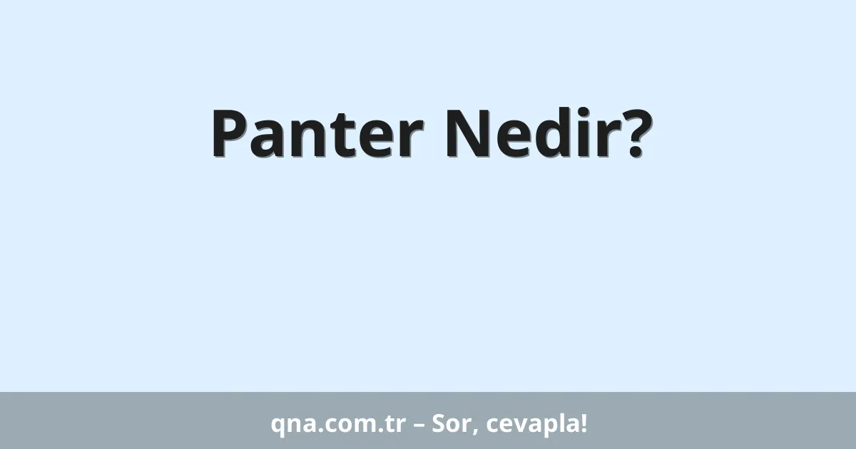 Panter Nedir?