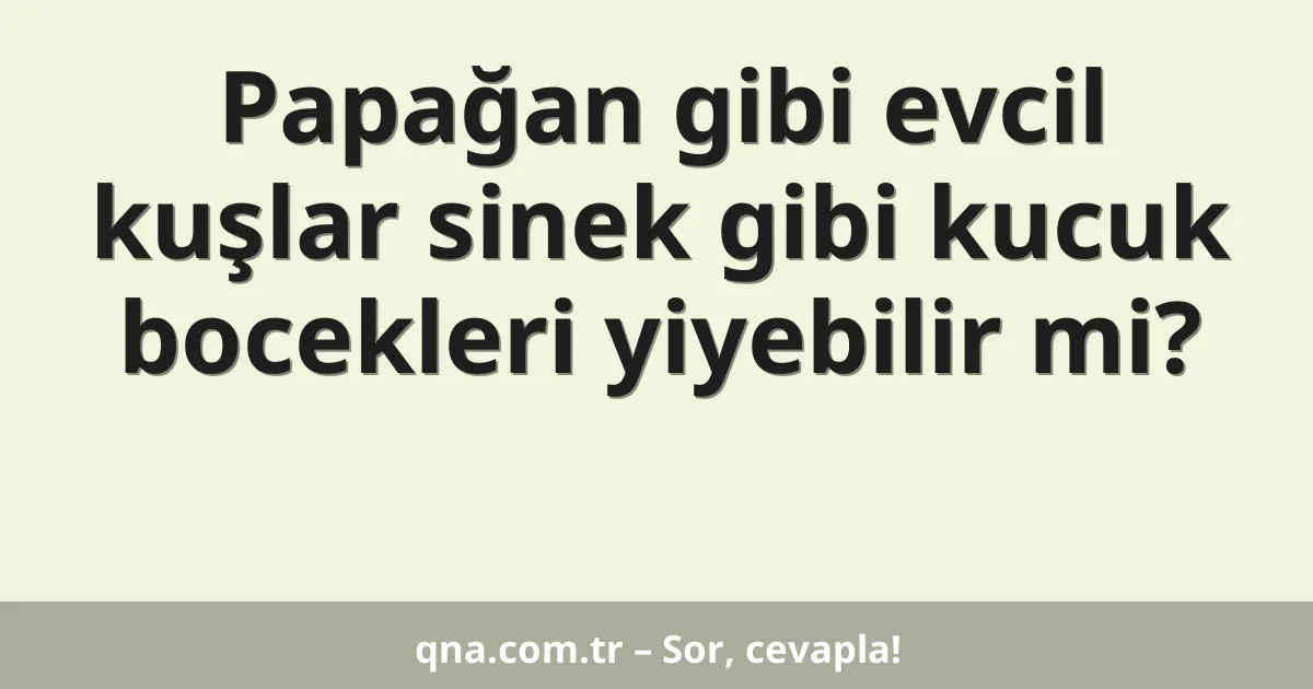 Papağan gibi evcil kuşlar sinek gibi kucuk bocekleri yiyebilir mi?