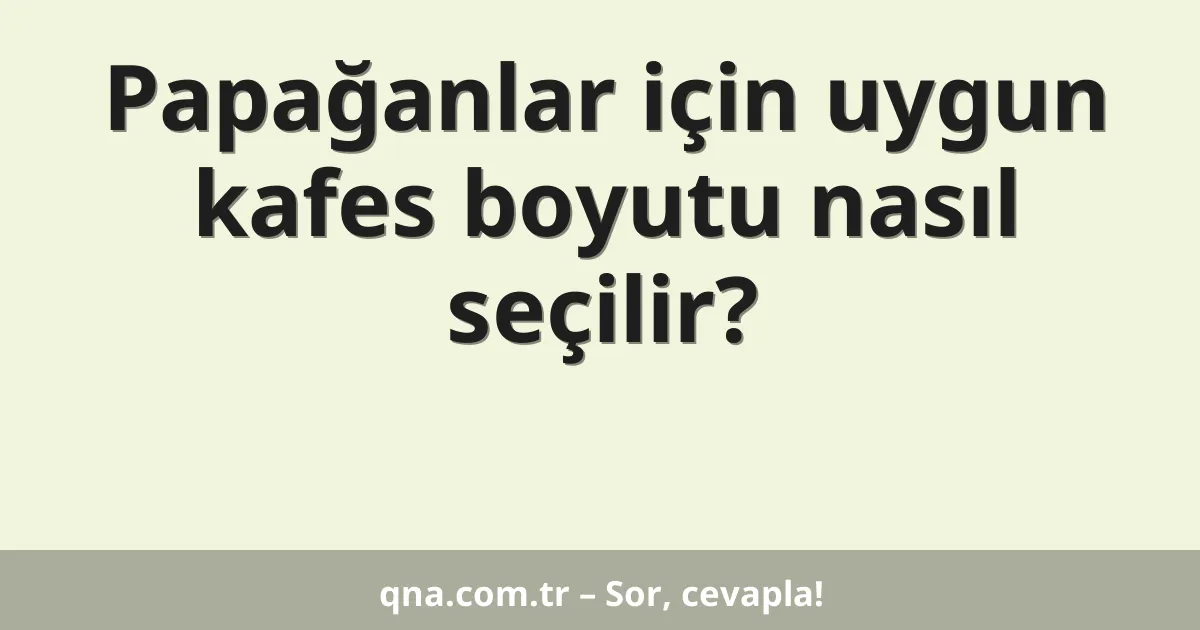 Papağanlar için uygun kafes boyutu nasıl seçilir?
