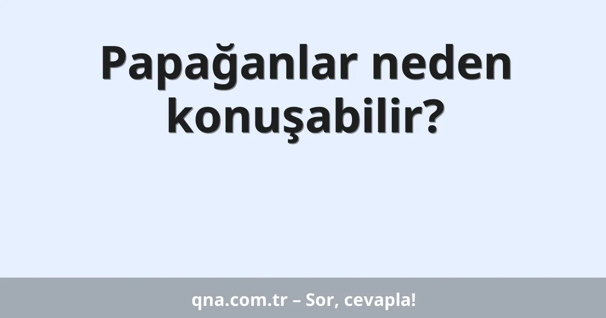 Papağanlar neden konuşabilir?