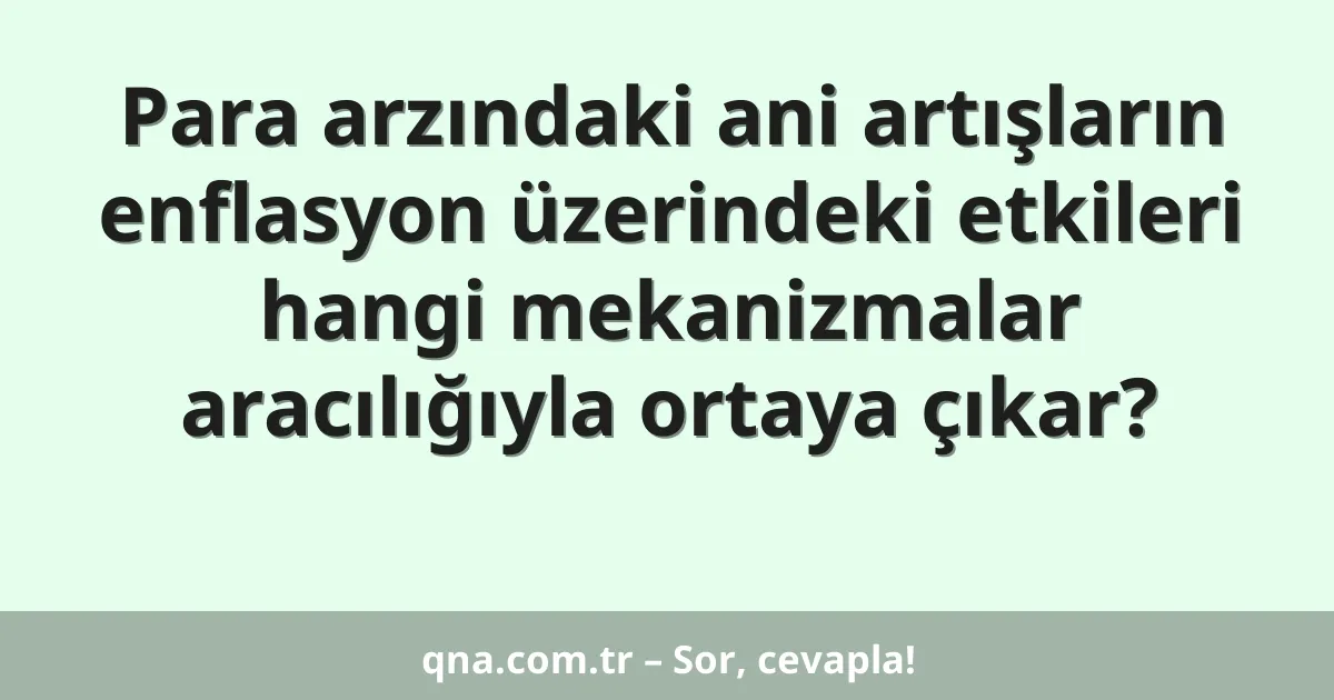 Para arzındaki ani artışların enflasyon üzerindeki etkileri hangi mekanizmalar aracılığıyla ortaya çıkar?