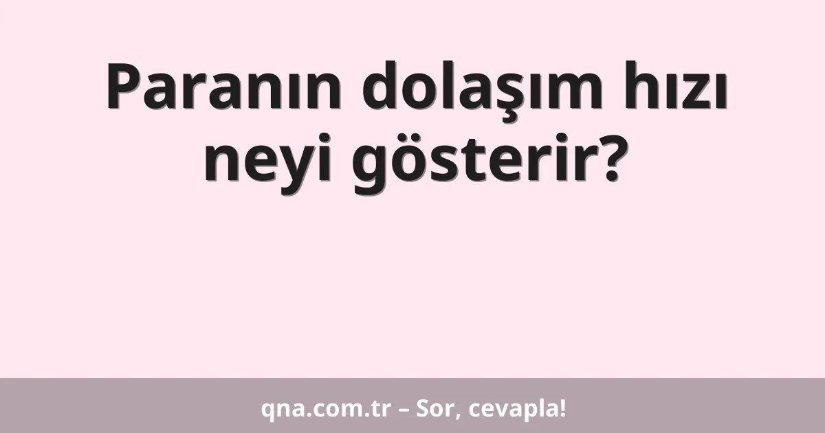 Paranın dolaşım hızı neyi gösterir?
