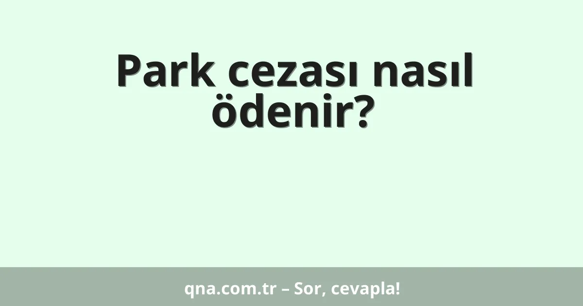 Park cezası nasıl ödenir?