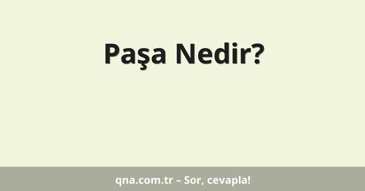 Paşa Nedir?