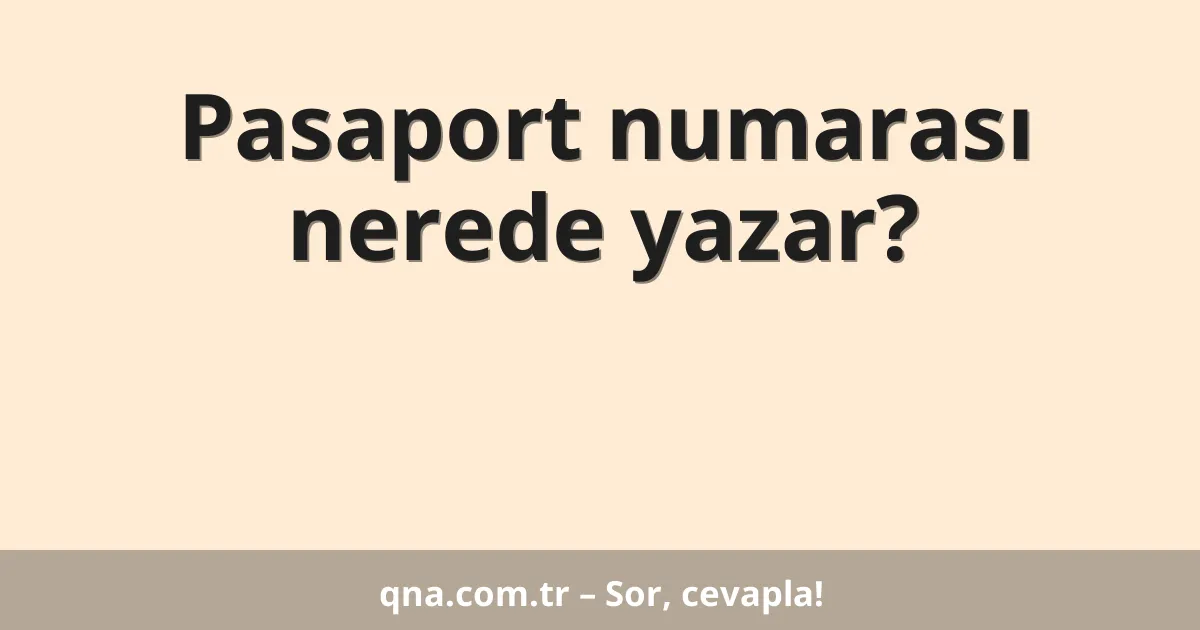 Pasaport numarası nerede yazar?