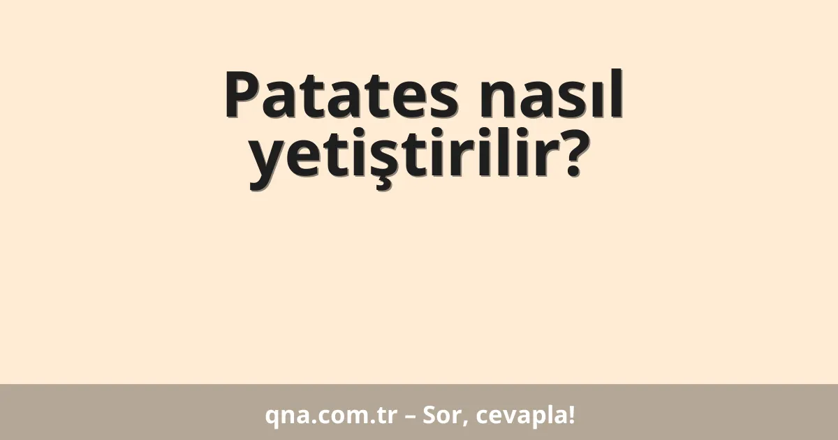 Patates nasıl yetiştirilir?