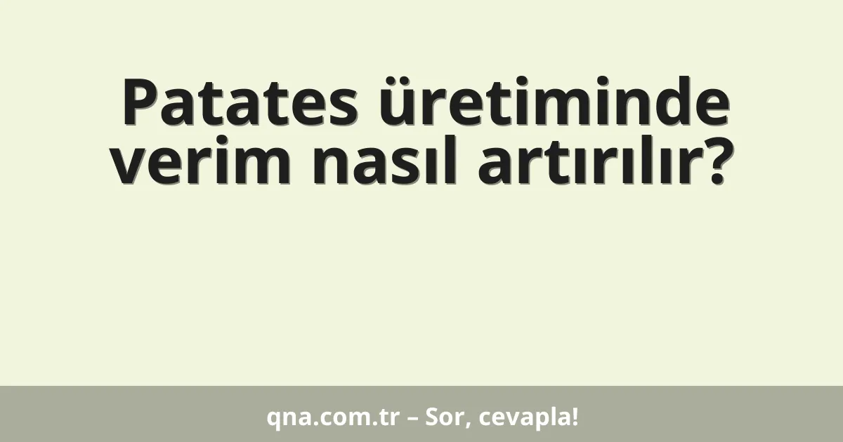 Patates üretiminde verim nasıl artırılır?