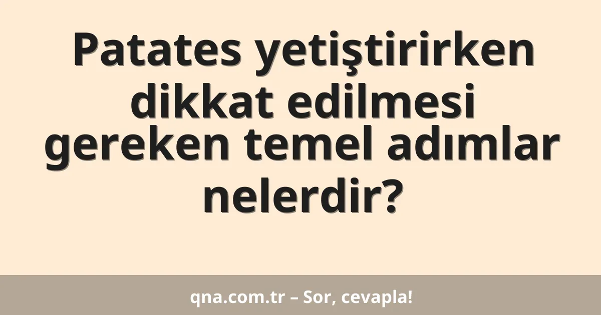 Patates yetiştirirken dikkat edilmesi gereken temel adımlar nelerdir?