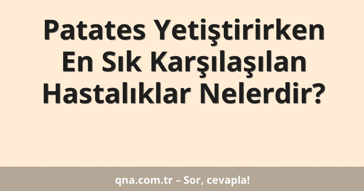Patates Yetiştirirken En Sık Karşılaşılan Hastalıklar Nelerdir?