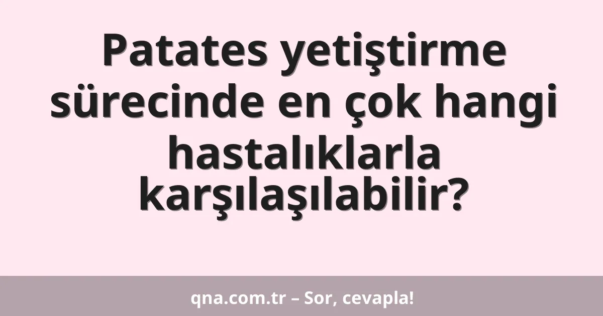 Patates yetiştirme sürecinde en çok hangi hastalıklarla karşılaşılabilir?