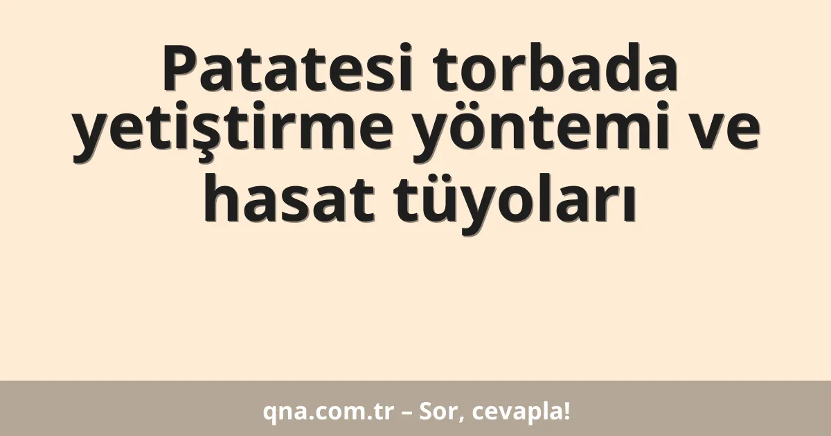 Patatesi torbada yetiştirme yöntemi ve hasat tüyoları