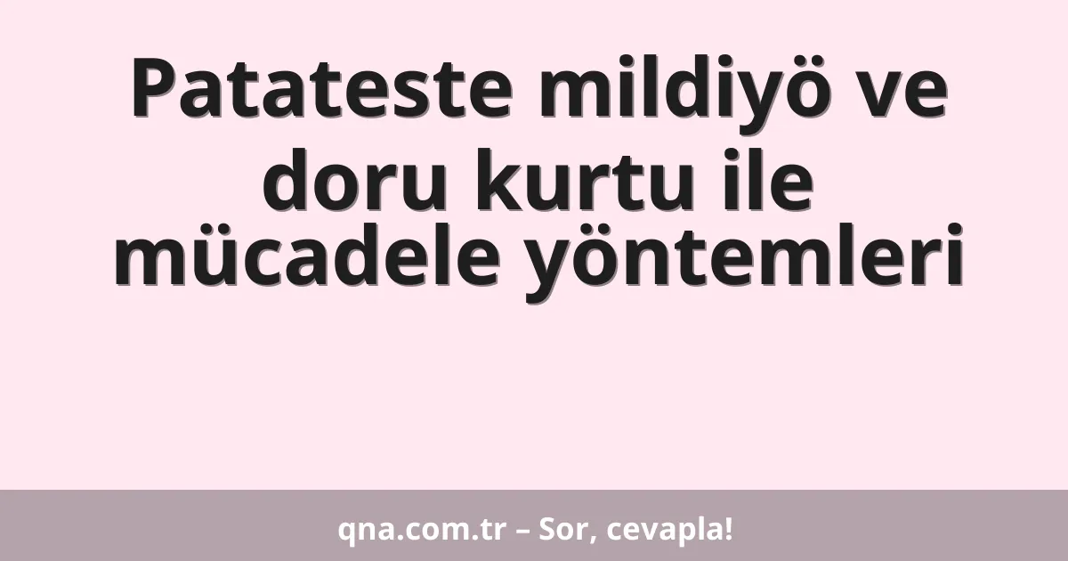 Patateste mildiyö ve doru kurtu ile mücadele yöntemleri