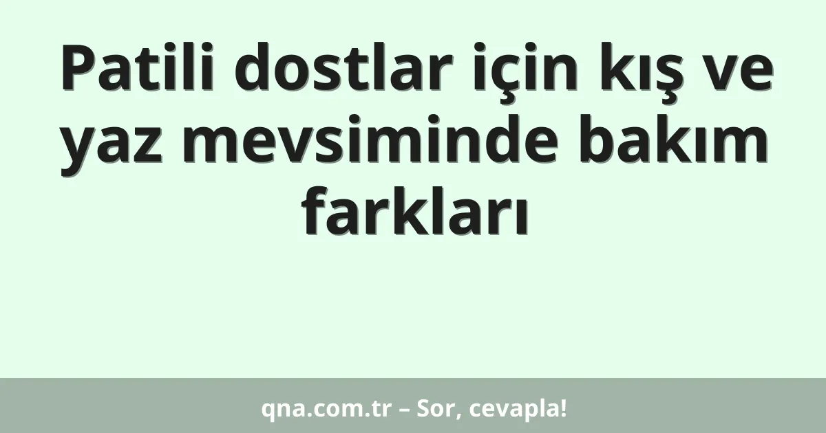 Patili dostlar için kış ve yaz mevsiminde bakım farkları