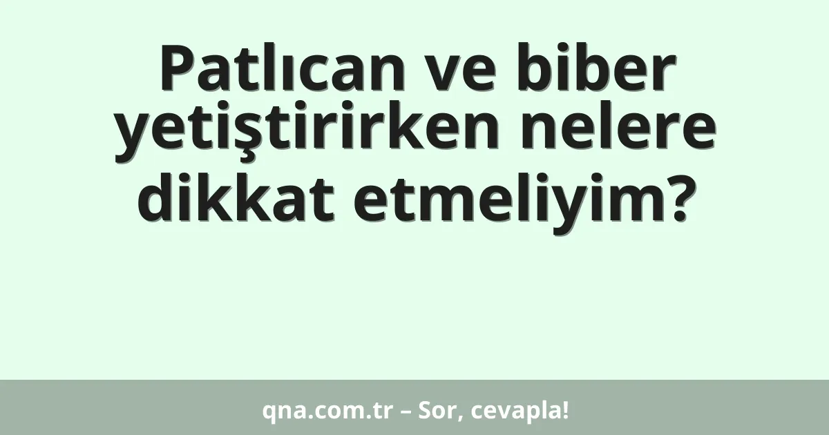 Patlıcan ve biber yetiştirirken nelere dikkat etmeliyim?