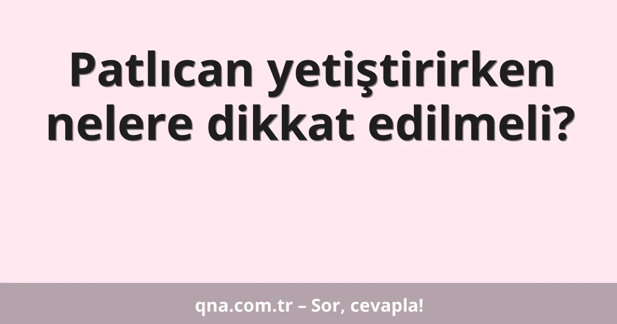 Patlıcan yetiştirirken nelere dikkat edilmeli?