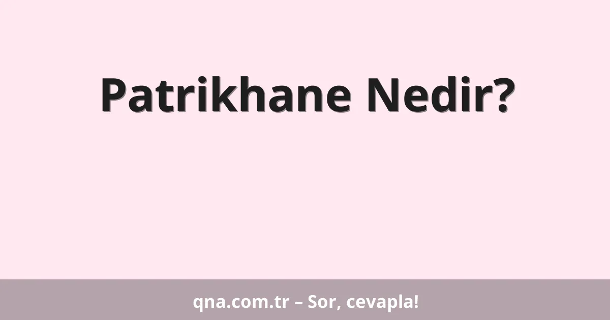 Patrikhane Nedir?