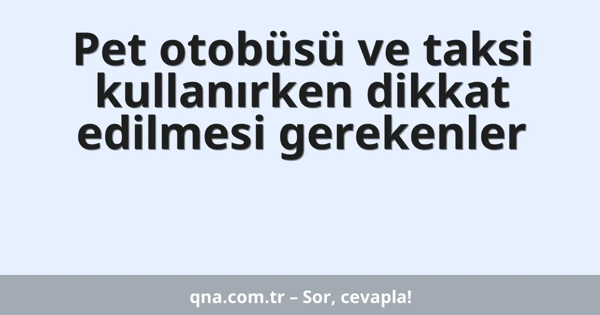 Pet otobüsü ve taksi kullanırken dikkat edilmesi gerekenler