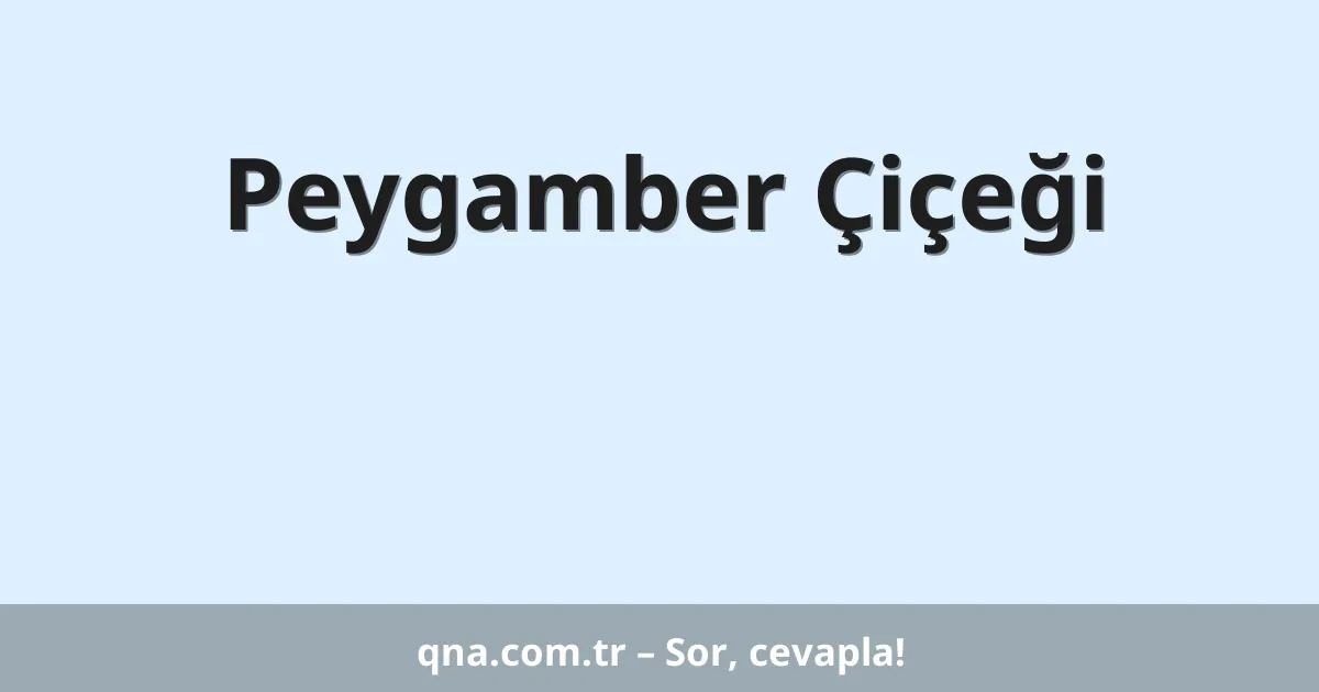 Peygamber Çiçeği