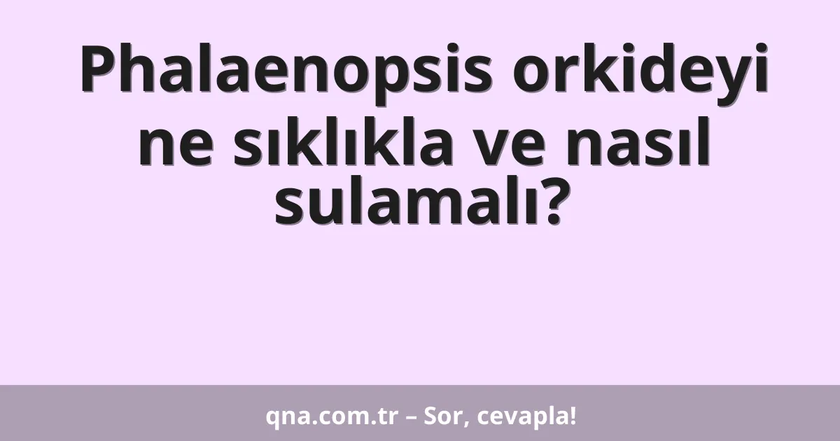 Phalaenopsis orkideyi ne sıklıkla ve nasıl sulamalı?