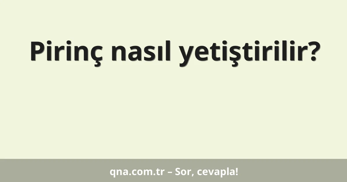 Pirinç nasıl yetiştirilir?
