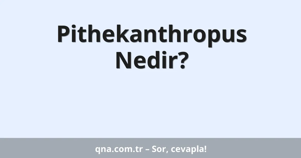 Pithekanthropus Nedir?
