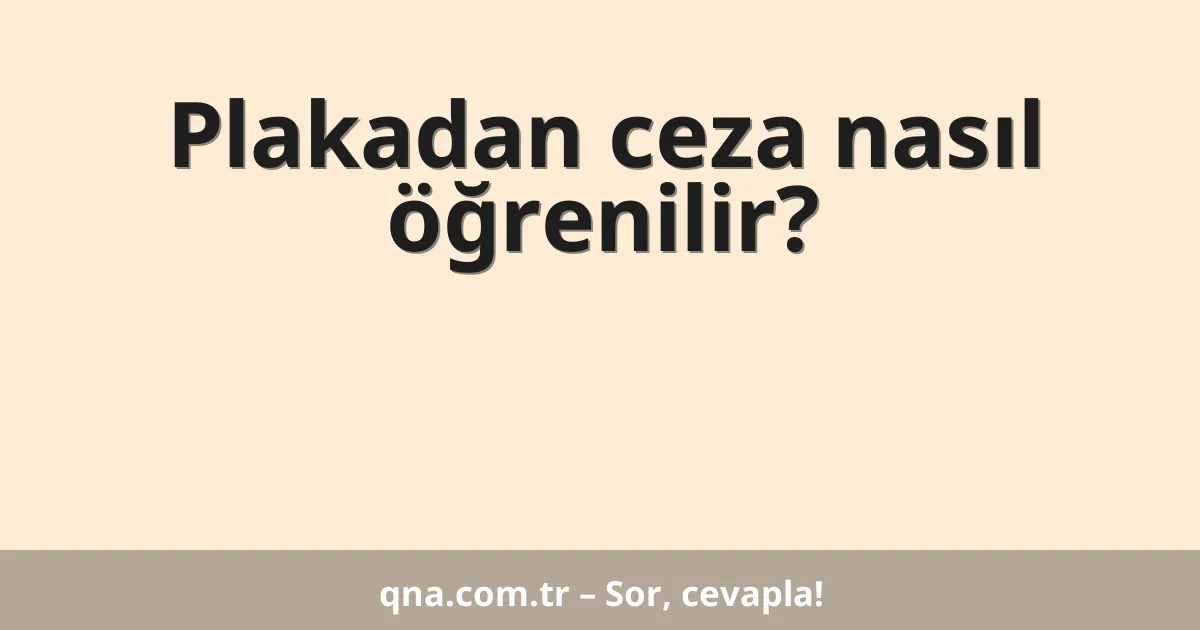 Plakadan ceza nasıl öğrenilir?