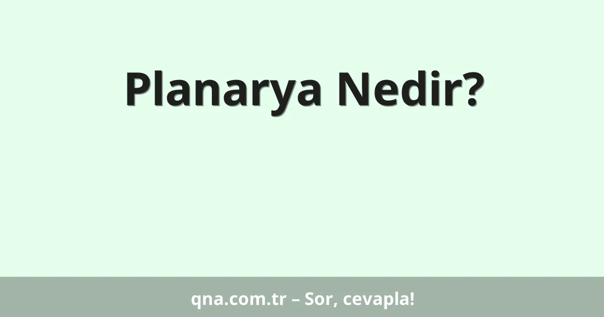 Planarya Nedir?