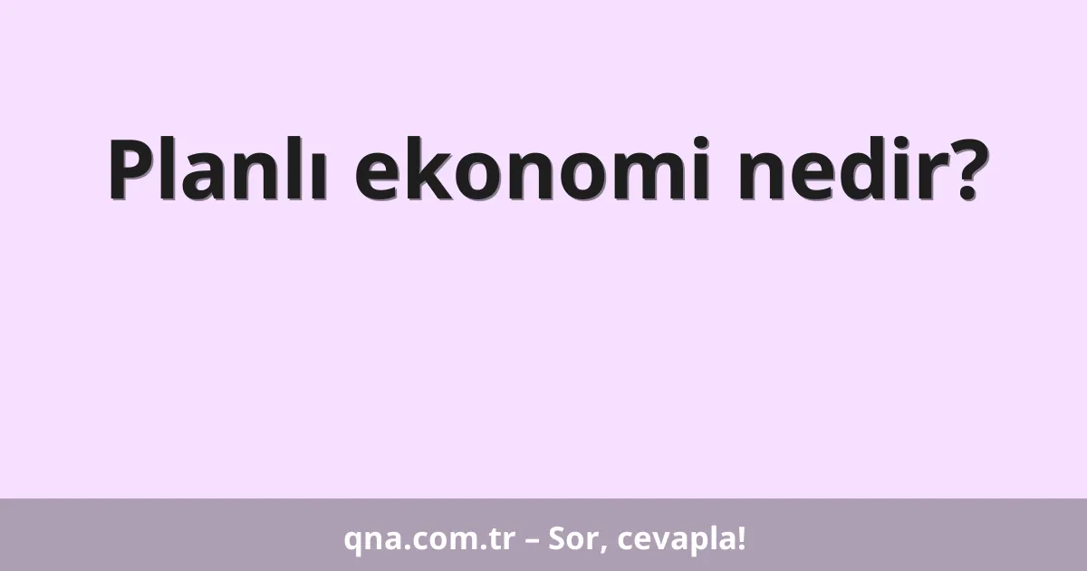 Planlı ekonomi nedir?