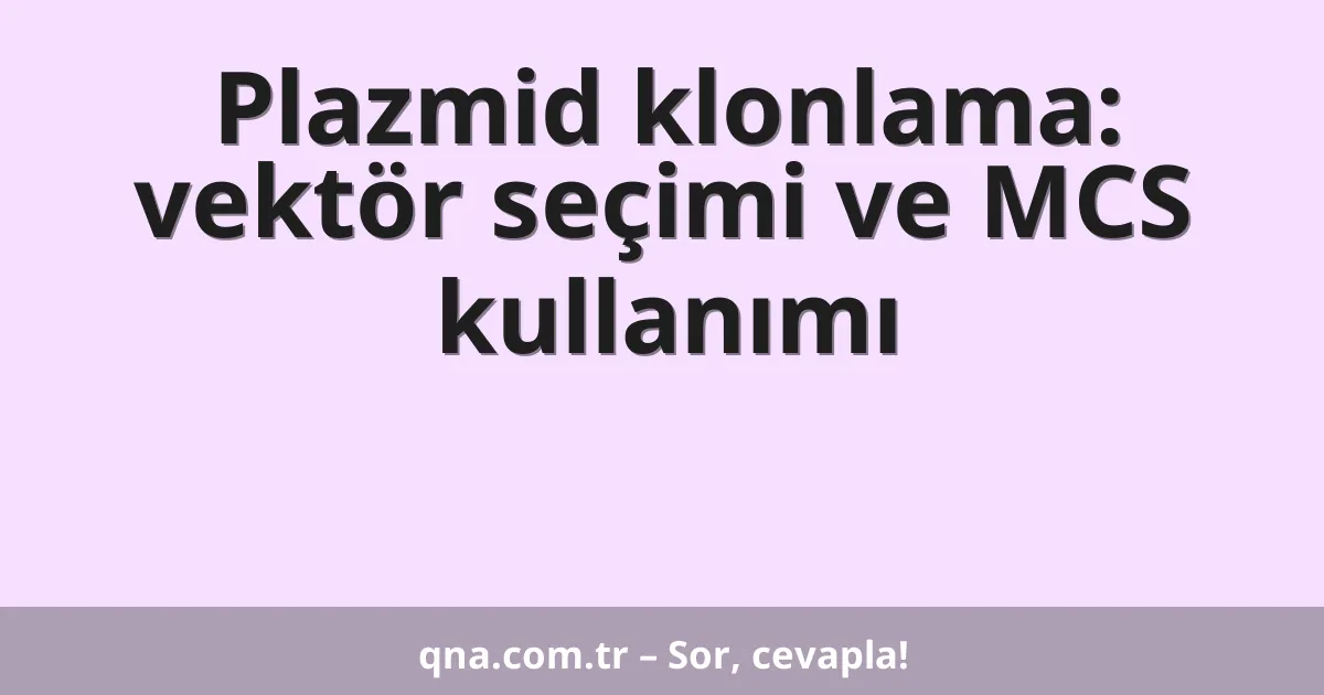 Plazmid klonlama: vektör seçimi ve MCS kullanımı