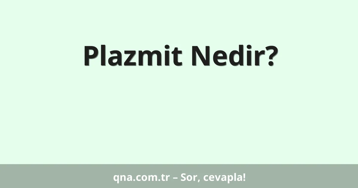 Plazmit Nedir?