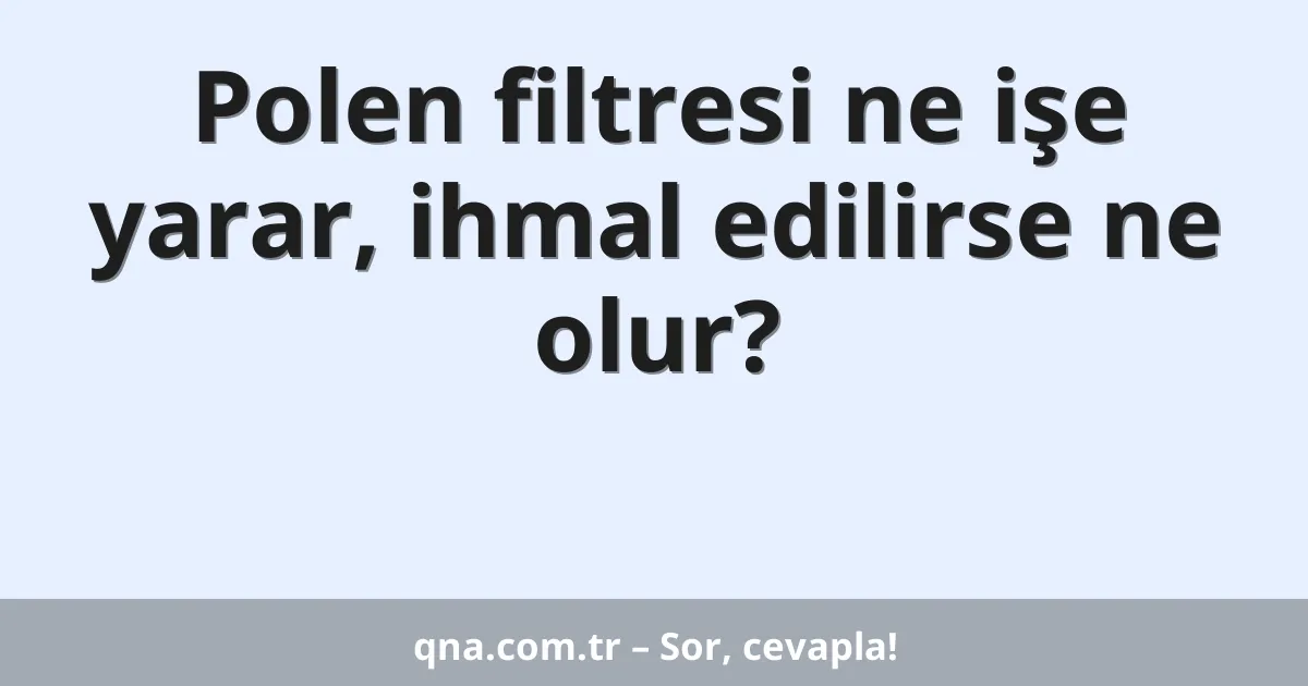 Polen filtresi ne işe yarar, ihmal edilirse ne olur?