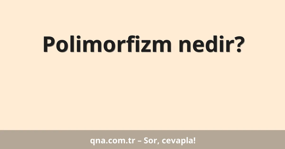 Polimorfizm nedir?