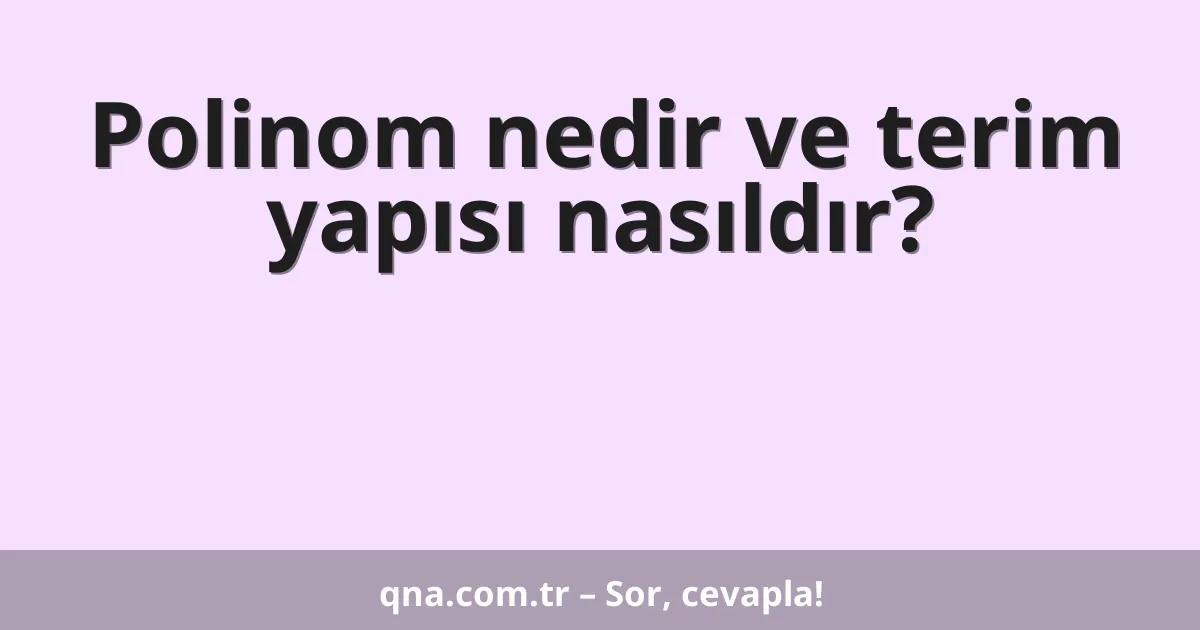 Polinom nedir ve terim yapısı nasıldır?
