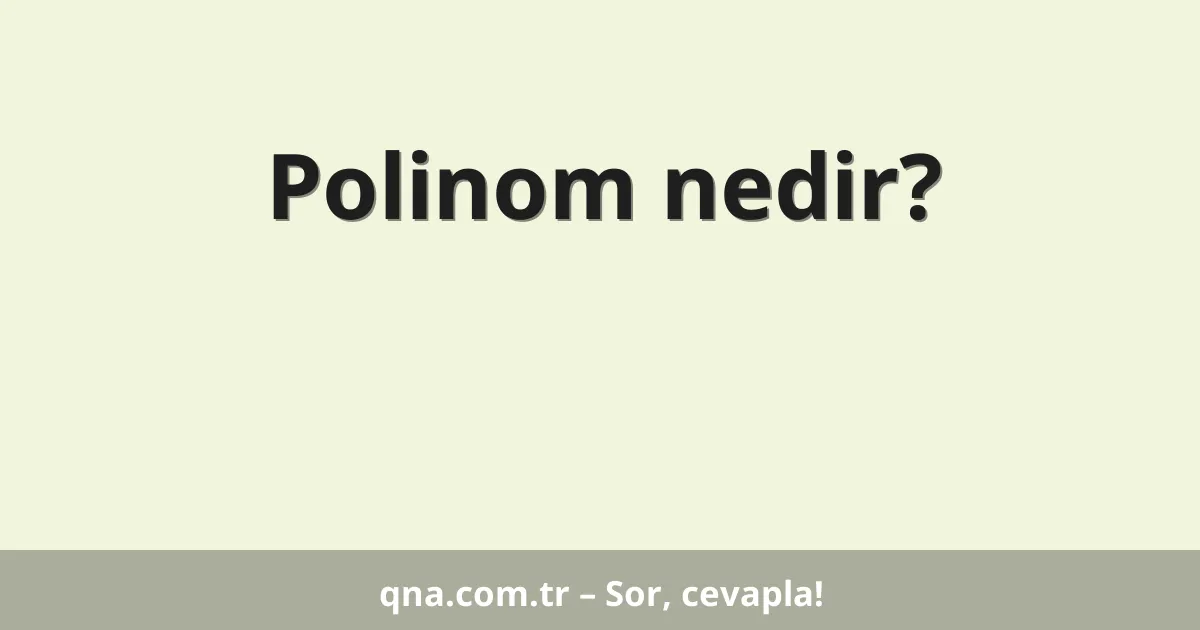 Polinom nedir?