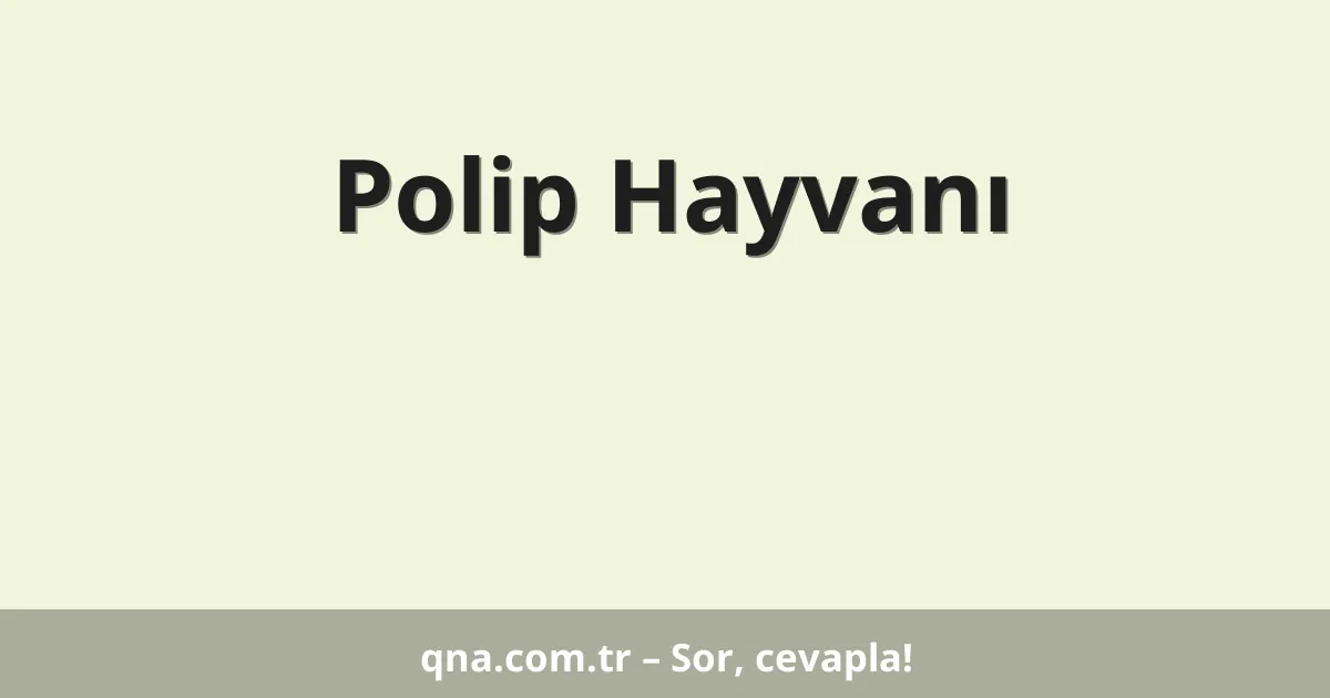 Polip Hayvanı