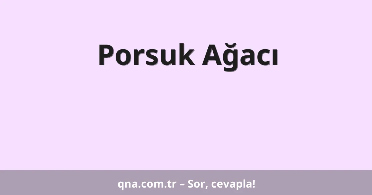 Porsuk Ağacı