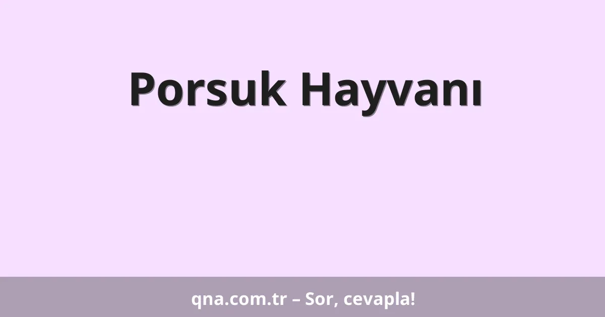 Porsuk Hayvanı