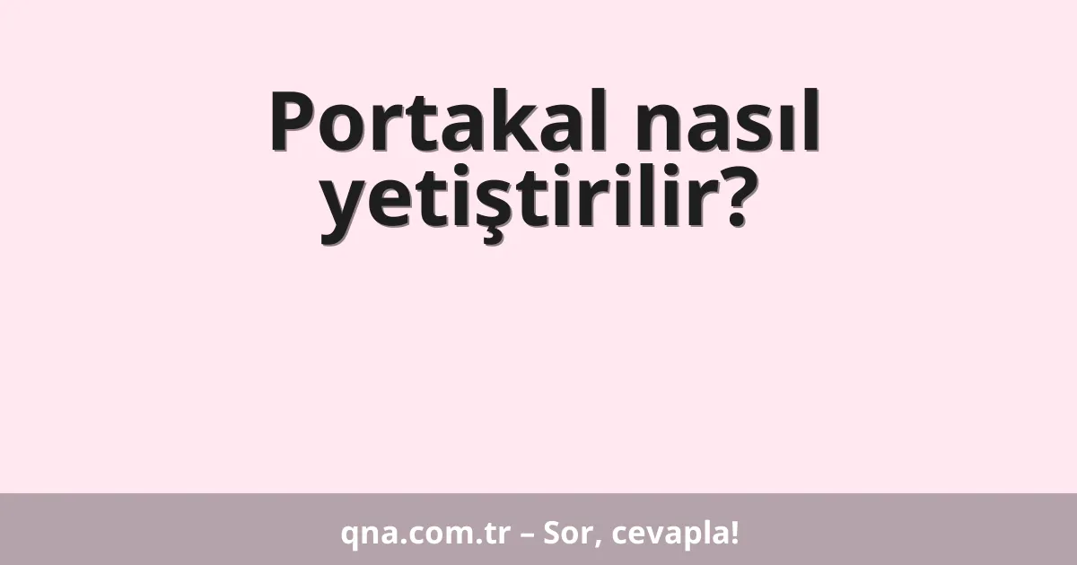 Portakal nasıl yetiştirilir?