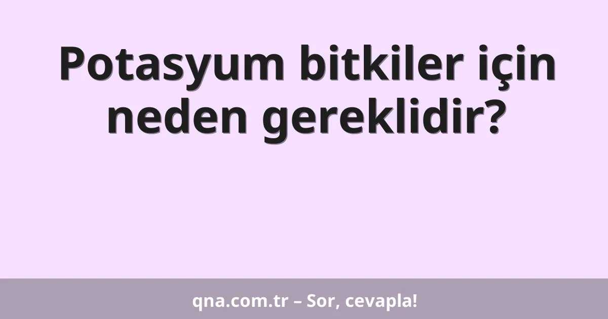 Potasyum bitkiler için neden gereklidir?