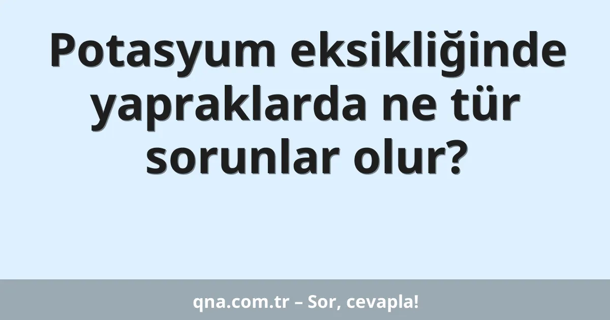 Potasyum eksikliğinde yapraklarda ne tür sorunlar olur?