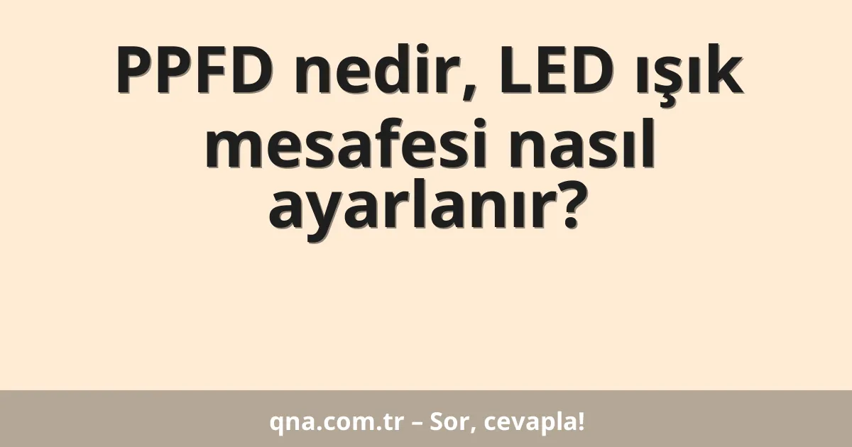 PPFD nedir, LED ışık mesafesi nasıl ayarlanır?